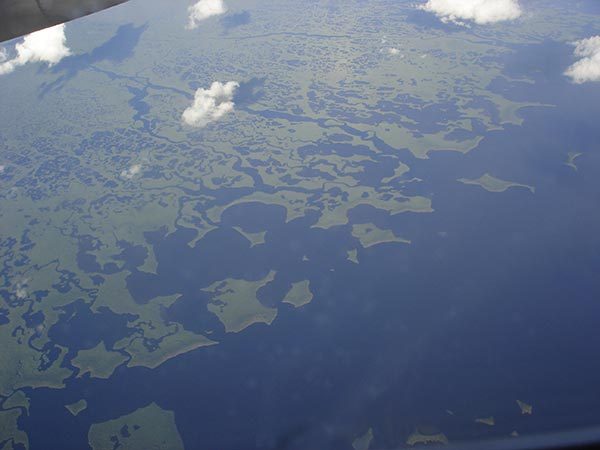 florida-everglades-aerial.jpg